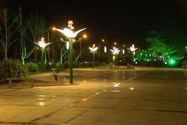 東營清風湖公園 夜景亮化